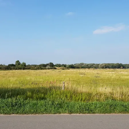 Soigner! * Egmond-Binnen